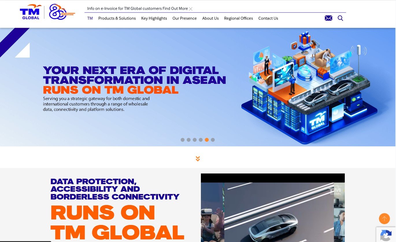 The TM Global portal home page